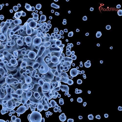 لماذا يحظى علاج CAR-T بالاهتمام في علاج أمراض المناعة الذاتية؟